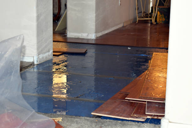 Professional Emergency Water Damage Restoration technician working in Haydenville, OH